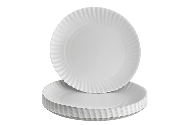 Talerz papierowy.png